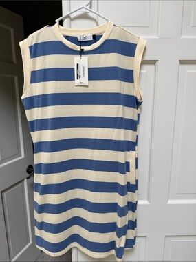 Sleeveless Striped Shift Dress in Blue and Cream